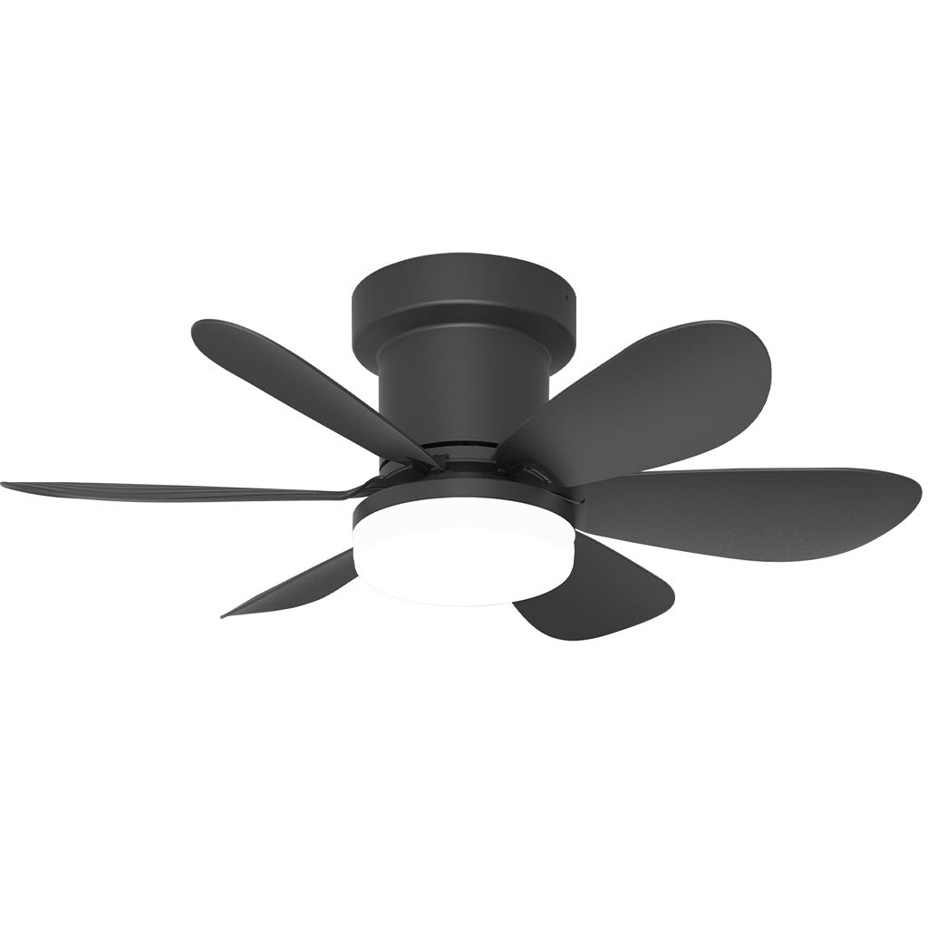 Ventilateur de Plafond 52cm avec Lampe LED MISTRAL Petit Ventilateur Silencieux Chambre Enfant Bureau Cuisine Moteur DC Basse Consommation Réversible Ete Hiver avec Telecommande Noir