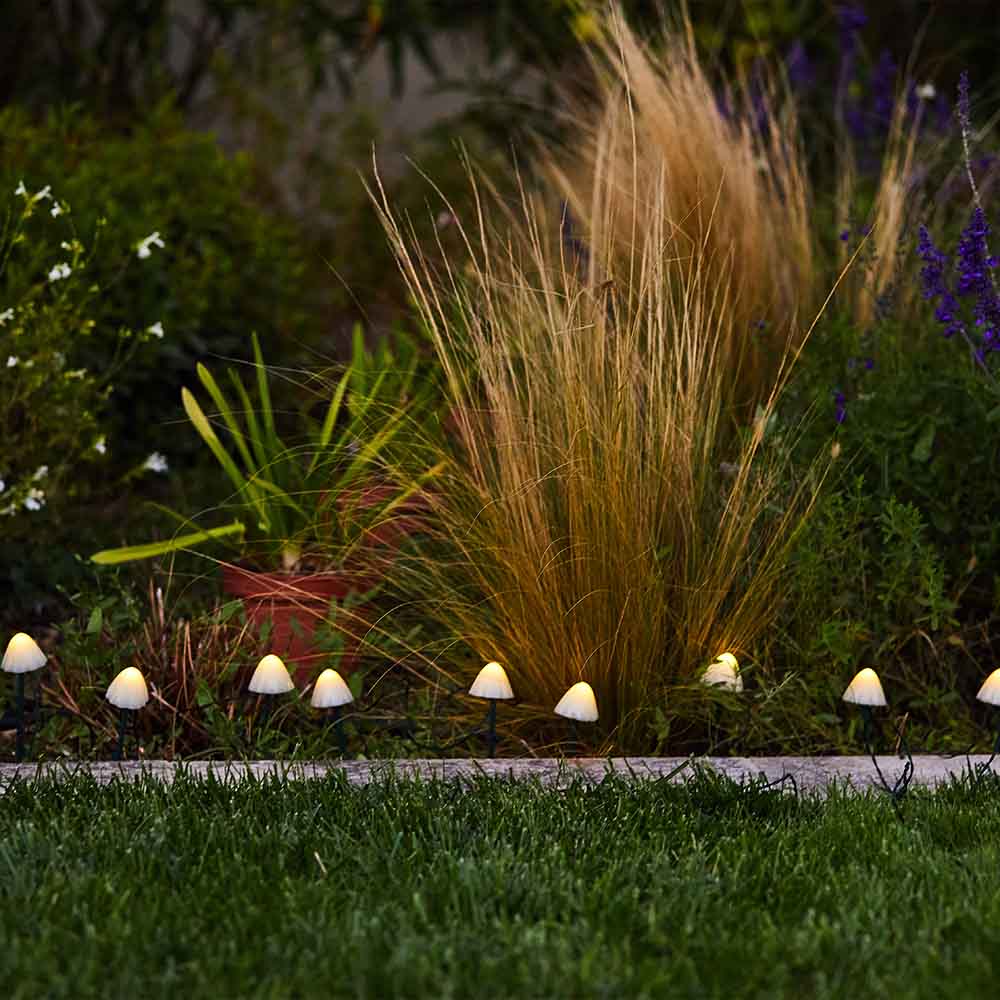 10 mini-champignons lumineux solaires à piquer balisage allée CHAMPY LED blanc chaud 3.8m