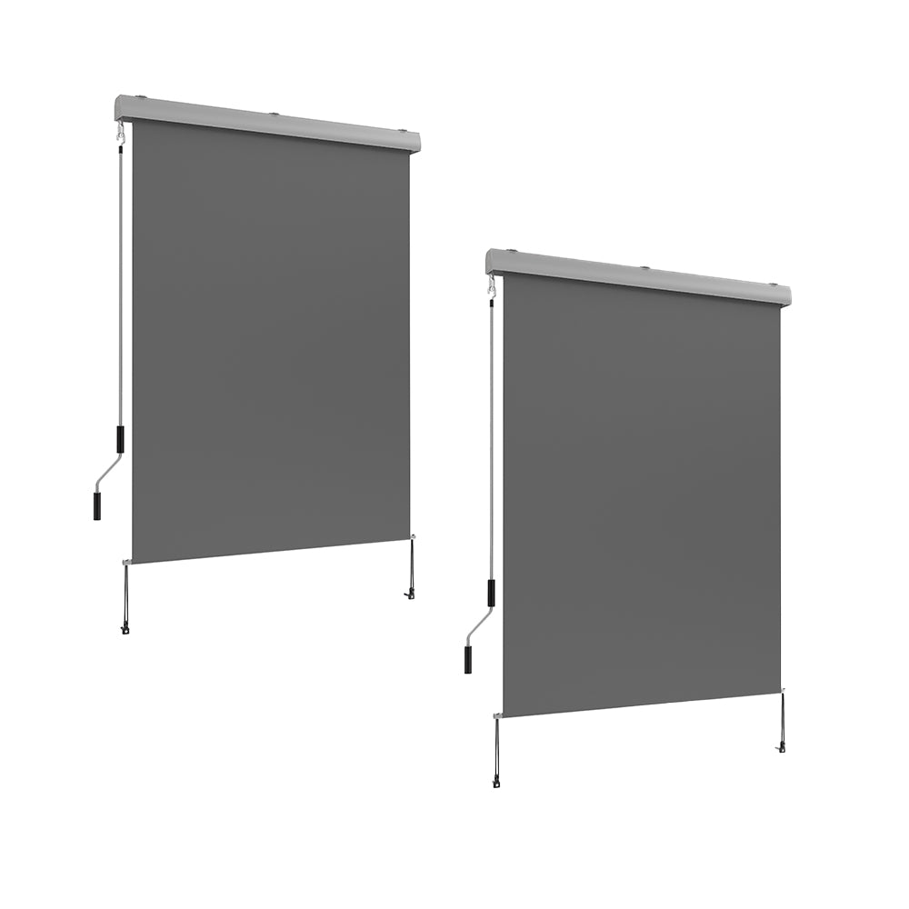 Lot de 2 stores enrouleurs d'extérieur avec coffre AUSTIN 120 x 250 cm gris